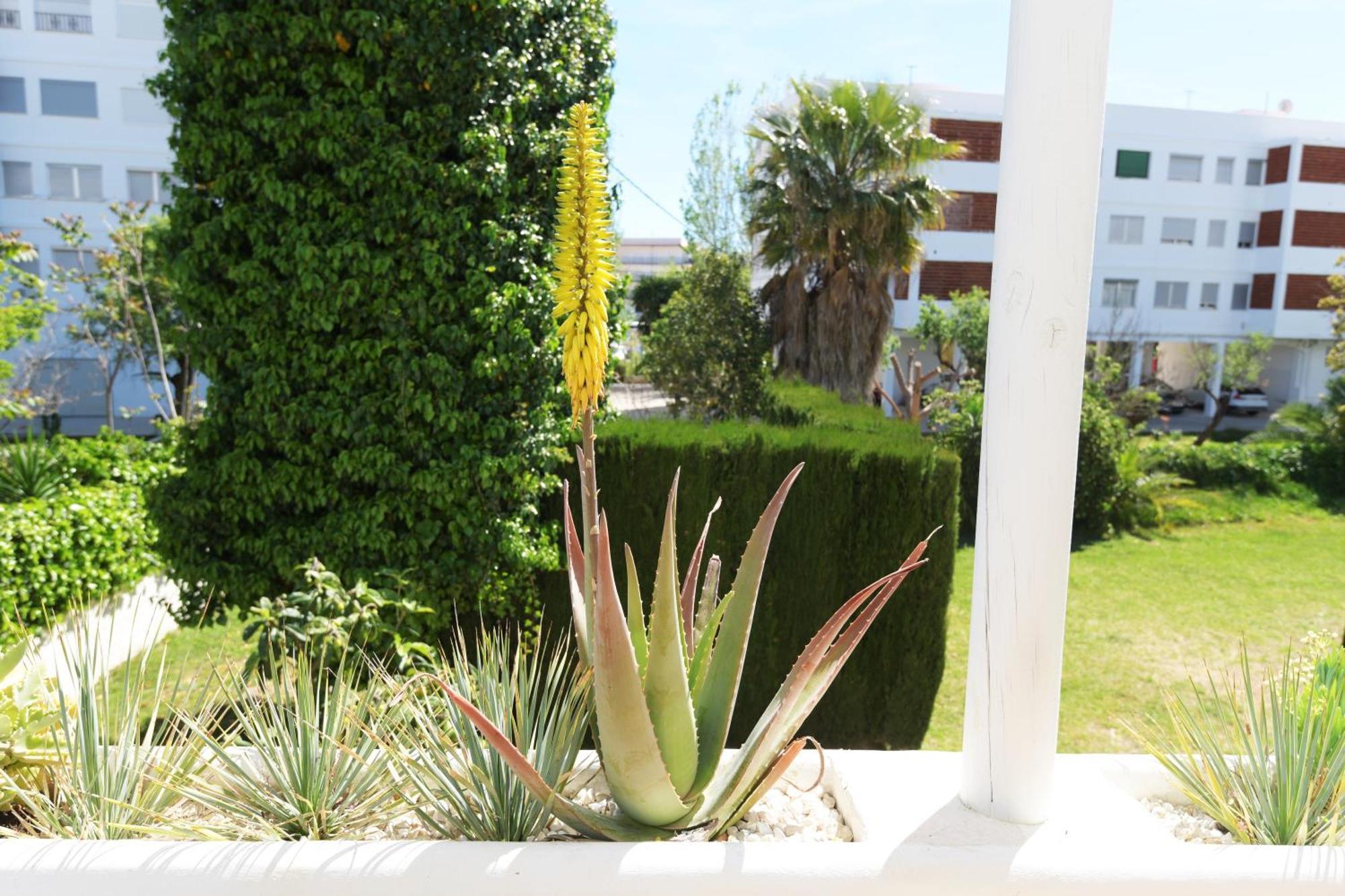 Stories Javea - Cosy Boho Apartment El Arenal - Toplocation - 250M From The Beach! Extérieur photo